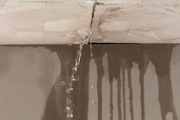 Professional Burst Pipe Cleanup technician working in Dunbridge, OH